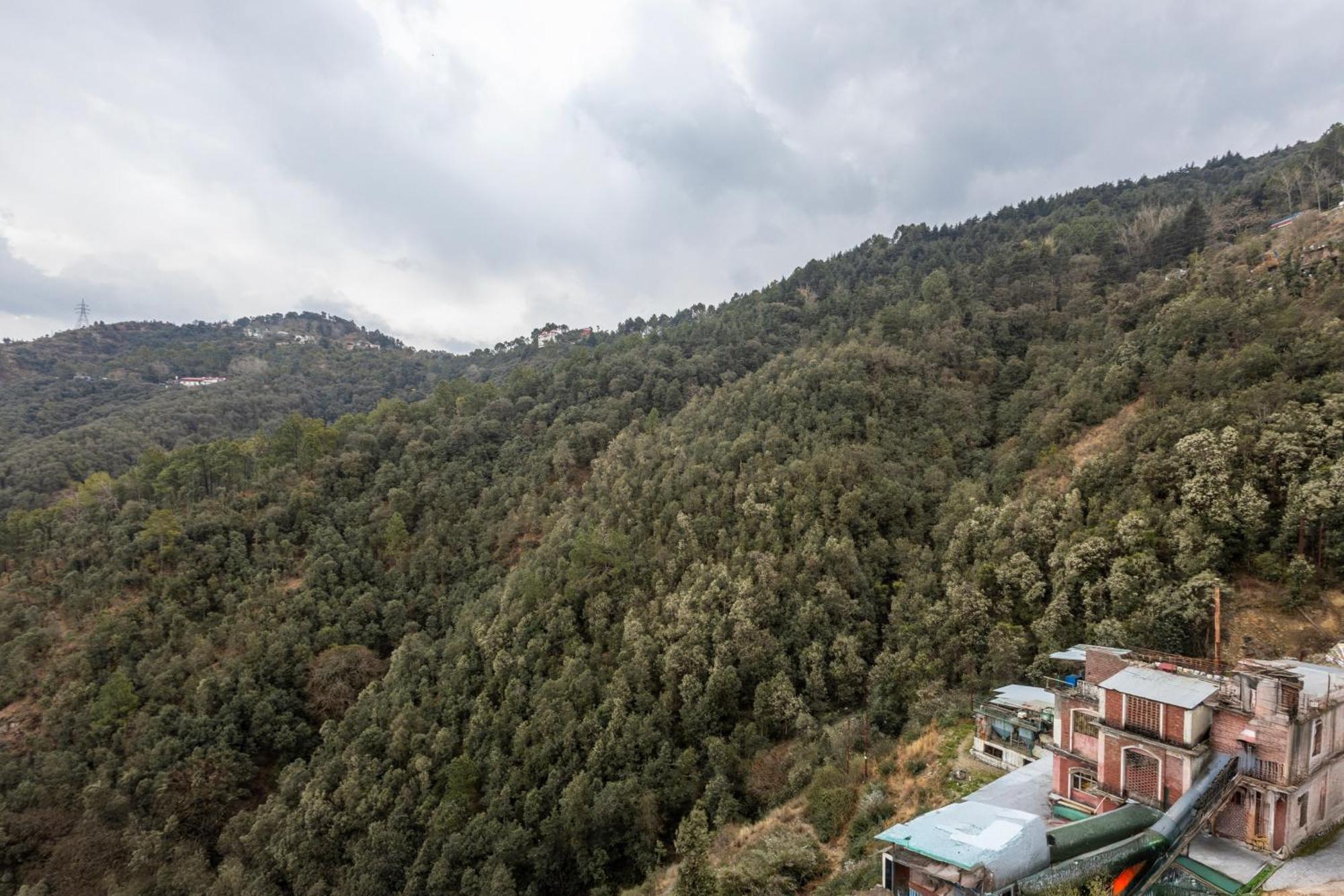 Treebo Lords Garden Glory With Valley View & Centralized Heating Шімла Екстер'єр фото